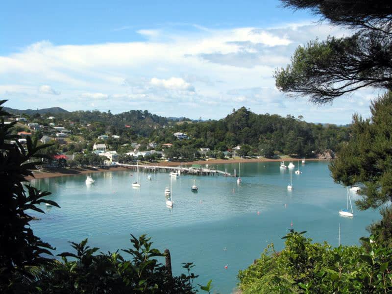 Pipi Patch, Bay of Islands, New Zealand