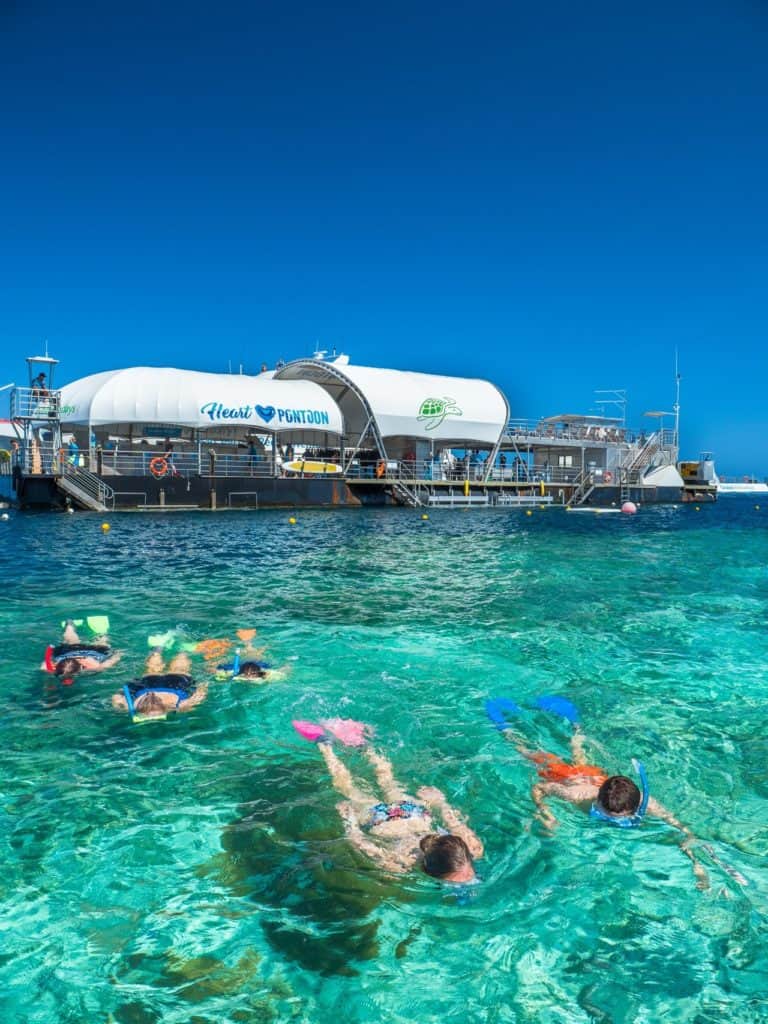 reef world cruise whitsundays reviews