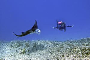 Diving Sites Globe