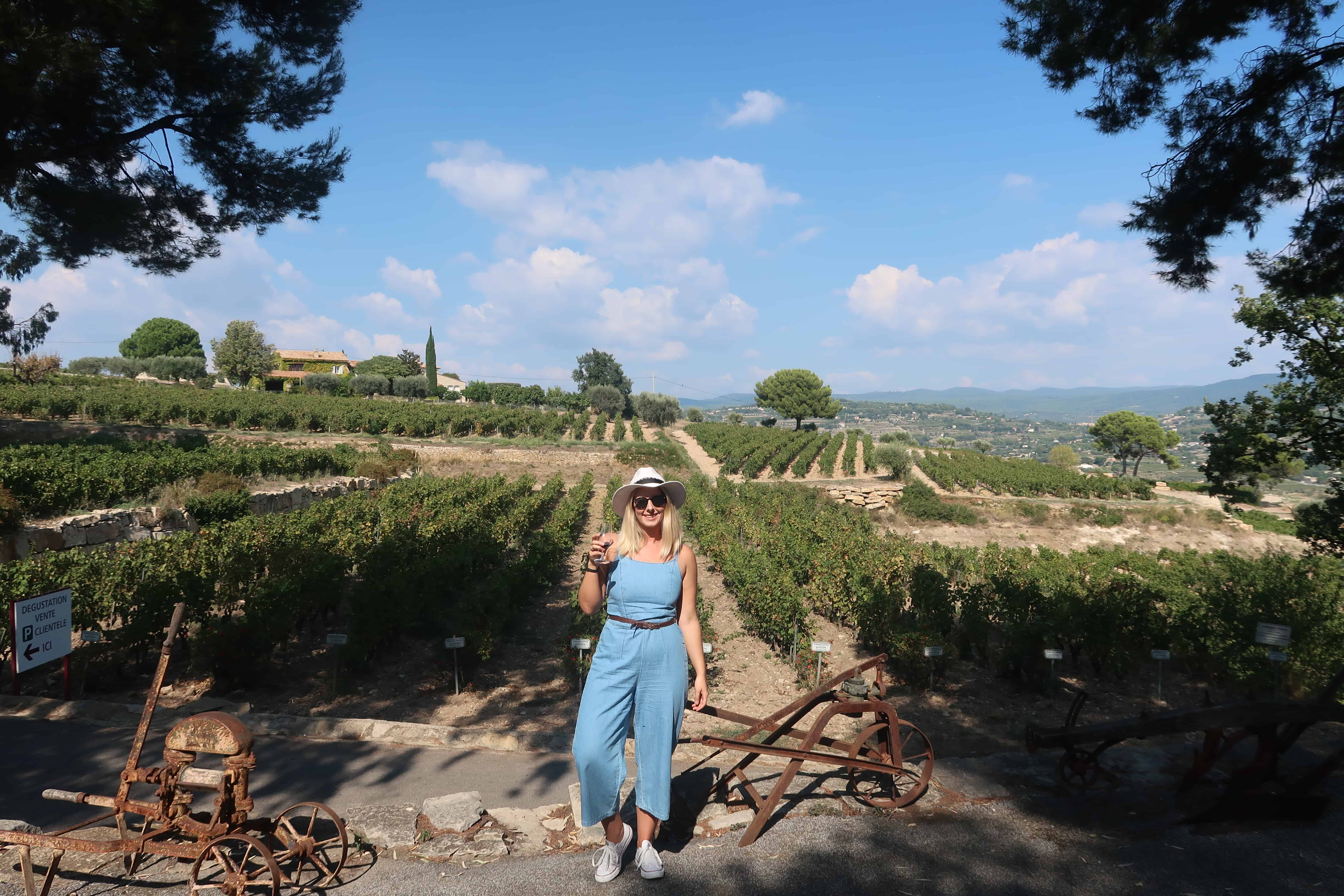 France Provence vineyard tours