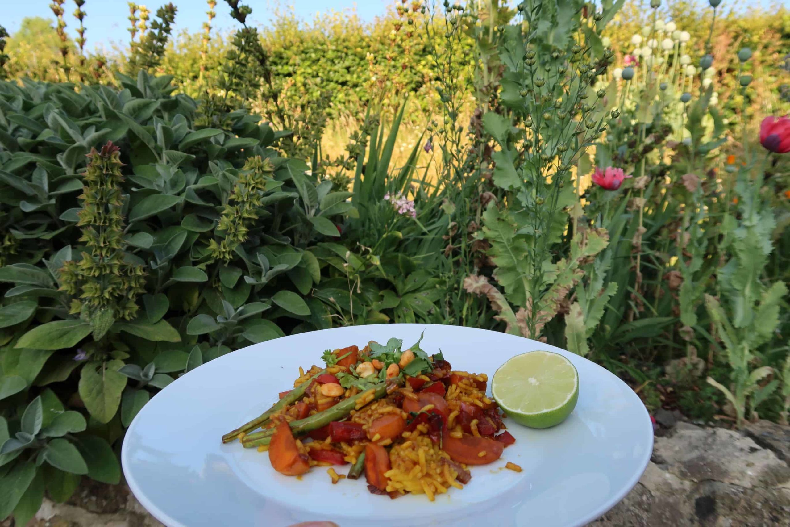 RECIPE Indonesian Asian Jewelled Rice with Hello Fresh (+ HELLO FRESH