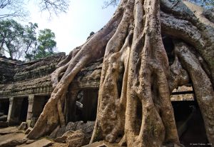 visiting Angkor Wat