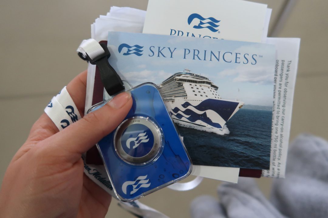 princess cruise tour box