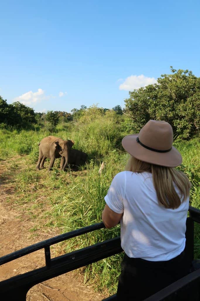 Elephant Safari Sri Lanka