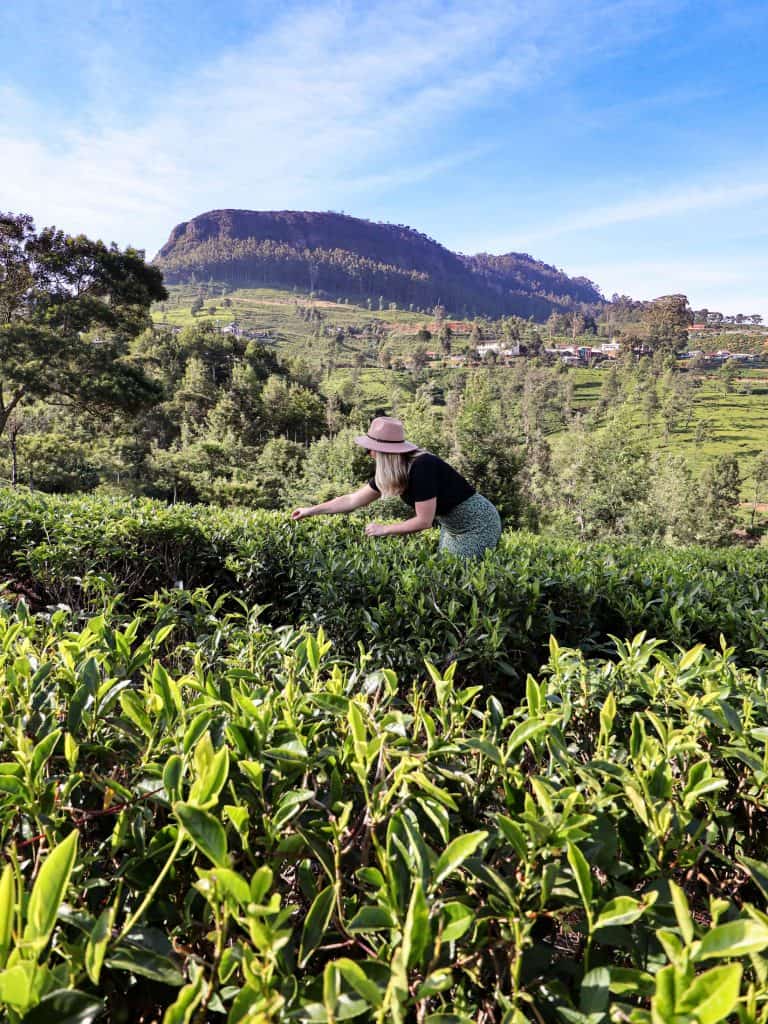 Instagram spots in Sri Lanka