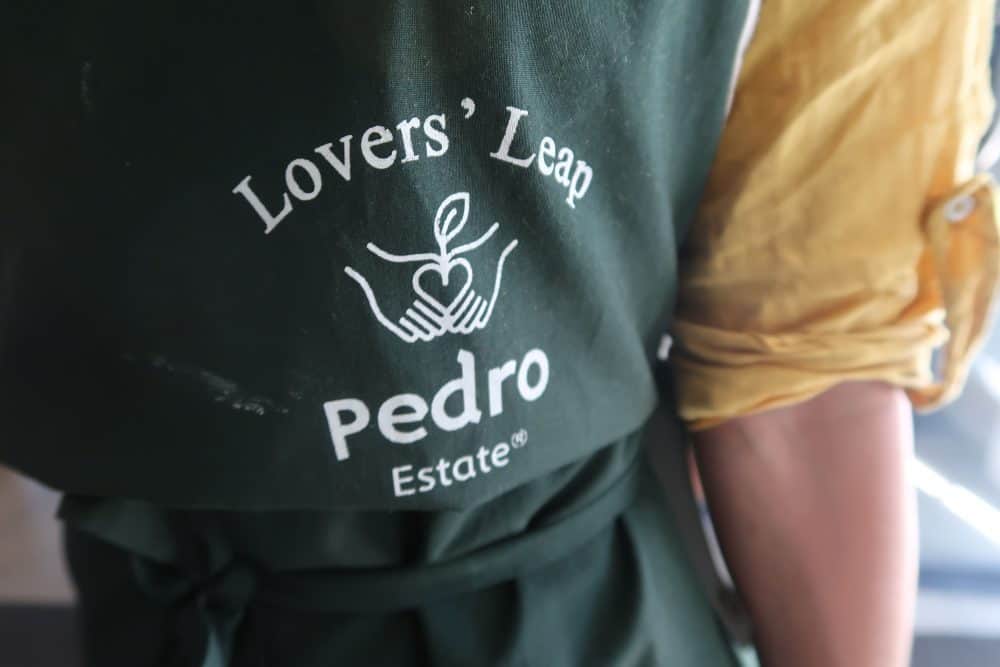 Pedro Tea Factory
