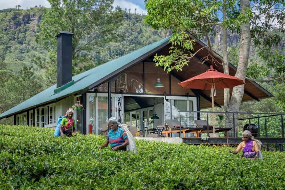 where to stay in sri lanka Madulkelle Tea and Eco Lodge