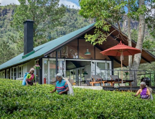 where to stay in sri lanka Madulkelle Tea and Eco Lodge