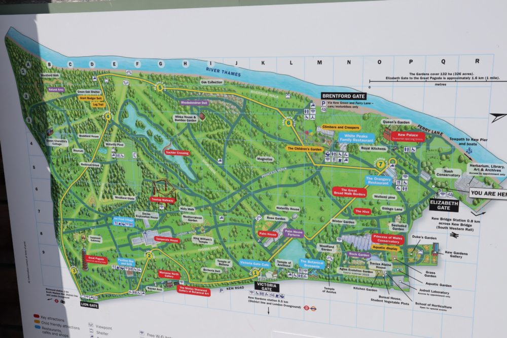 Gardens Of London 12 Things To See At Kew Gardens Sophie s Suitcase Gardens Of London 12 Things To See At Kew Gardens Sophie s Suitcase