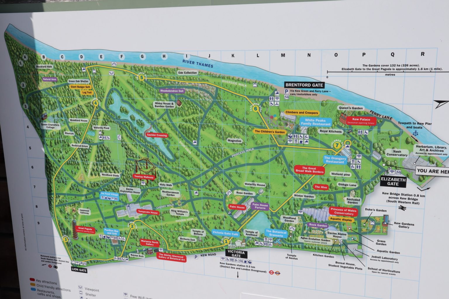 Gardens of London 12 Things to see at Kew Gardens Sophie's Suitcase