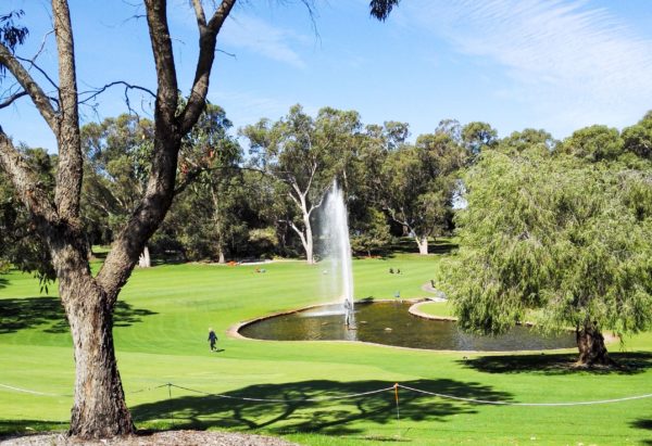 12 Fun Things to do in Perth | A Perth Travel Guide - Sophie's Suitcase