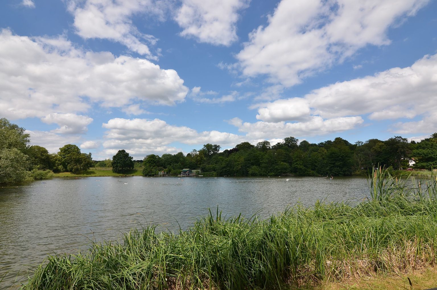 outdoor wild swimming near me