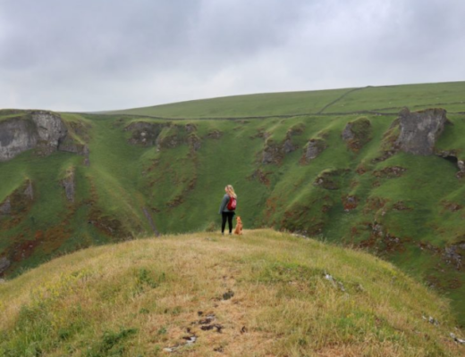 8 HIKING TIPS FOR BEGINNERS COVER IMAGE