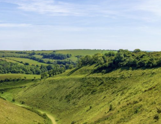 HIKING LONDON 10 BEST WALKS NEAR LONDON COVER IMAGE