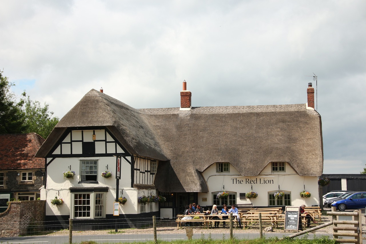 new forest best pubs